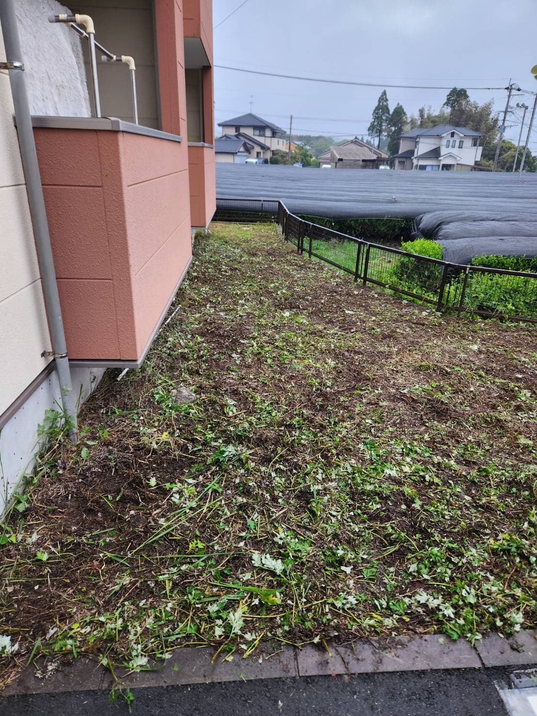 庭の伐採・草刈り after